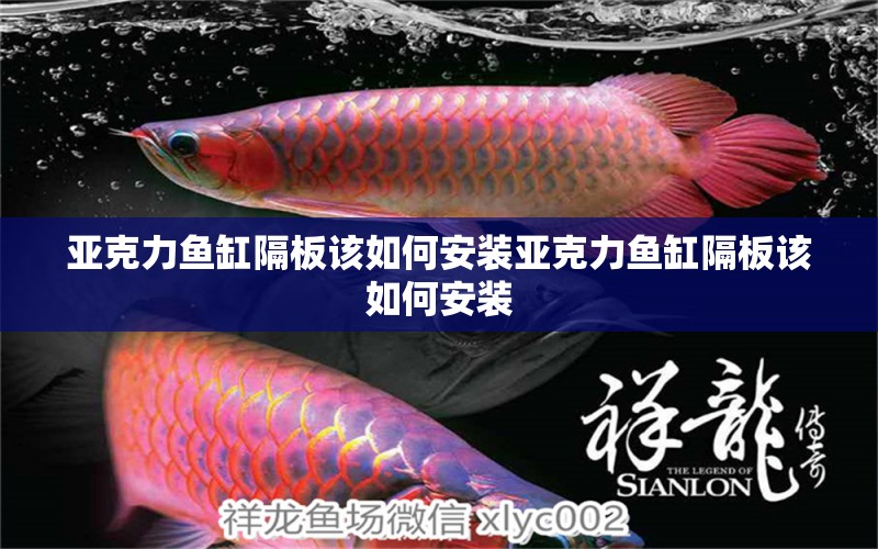 亞克力魚缸隔板該如何安裝亞克力魚缸隔板該如何安裝