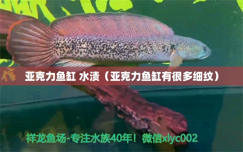 亞克力魚缸 水漬（亞克力魚缸有很多細(xì)紋）