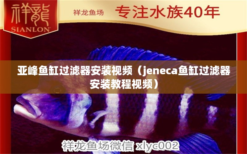 亞峰魚缸過濾器安裝視頻（jeneca魚缸過濾器安裝教程視頻） 祥龍魚場