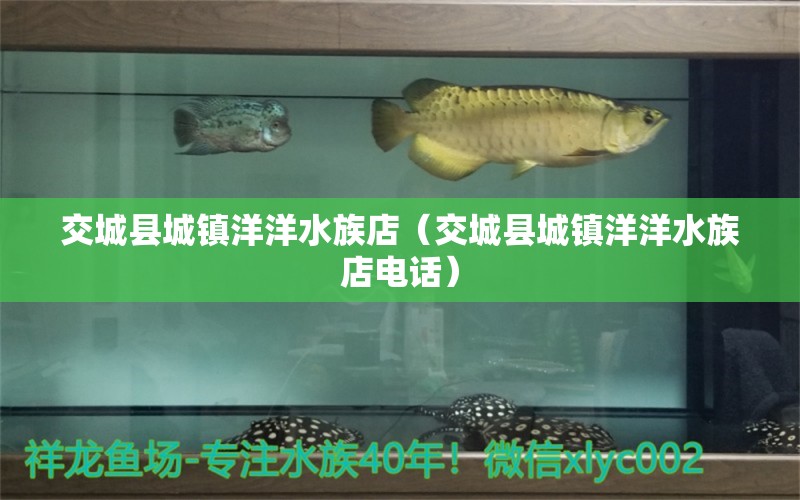 交城縣城鎮(zhèn)洋洋水族店（交城縣城鎮(zhèn)洋洋水族店電話）