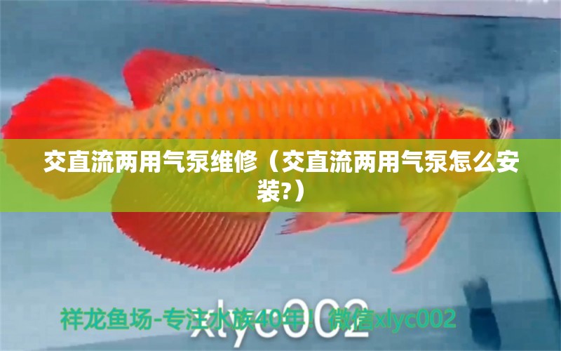 交直流兩用氣泵維修（交直流兩用氣泵怎么安裝?） 森森魚缸