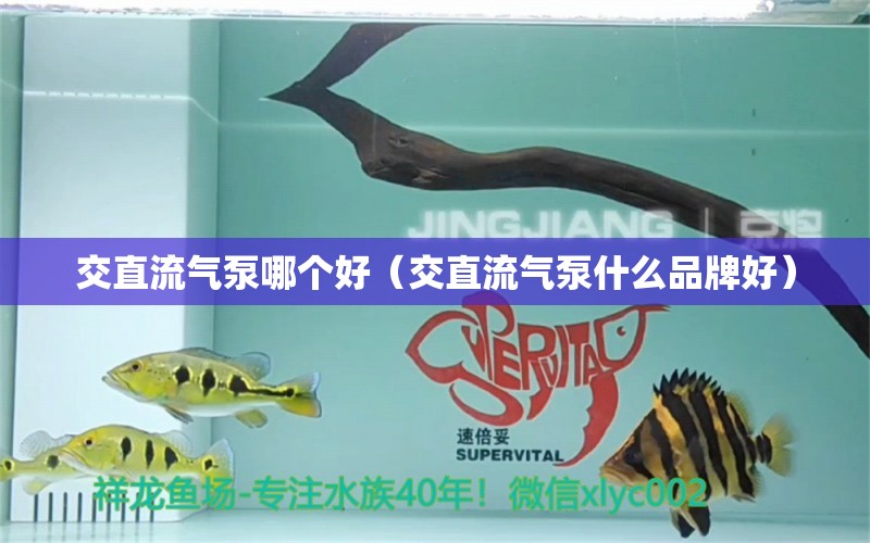 交直流氣泵哪個好（交直流氣泵什么品牌好） 森森魚缸