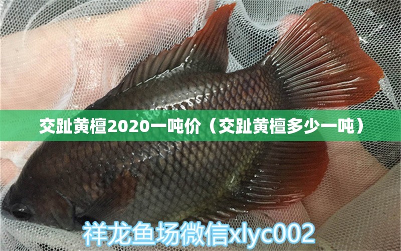 交趾黃檀2020一噸價(jià)（交趾黃檀多少一噸）