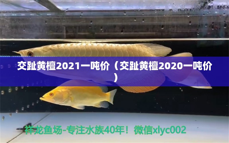 交趾黃檀2021一噸價(jià)（交趾黃檀2020一噸價(jià)）