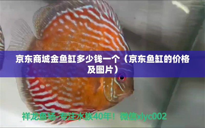 京東商城金魚缸多少錢一個（京東魚缸的價格及圖片）