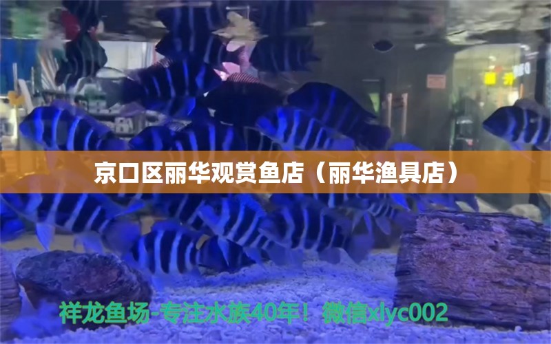 京口區(qū)麗華觀賞魚店（麗華漁具店） 全國(guó)水族館企業(yè)名錄