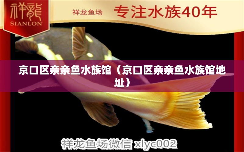 京口區(qū)親親魚水族館（京口區(qū)親親魚水族館地址）