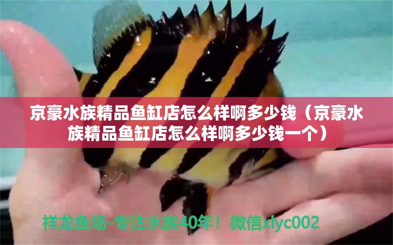 京豪水族精品魚(yú)缸店怎么樣啊多少錢(qián)（京豪水族精品魚(yú)缸店怎么樣啊多少錢(qián)一個(gè)）