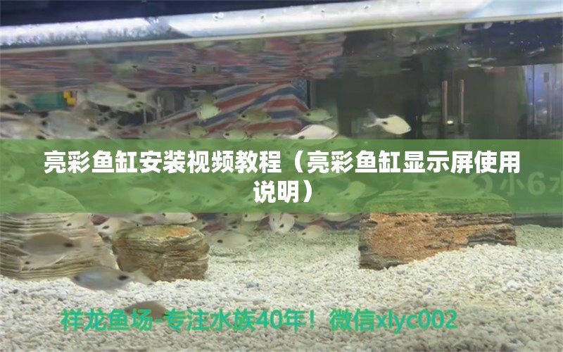 亮彩魚(yú)缸安裝視頻教程（亮彩魚(yú)缸顯示屏使用說(shuō)明）