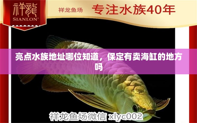 亮點(diǎn)水族地址哪位知道，保定有賣海缸的地方嗎 養(yǎng)魚的好處 第2張