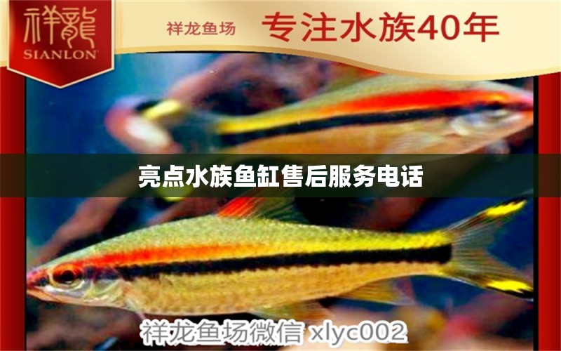 亮點(diǎn)水族魚缸售后服務(wù)電話