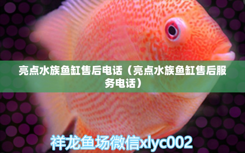 亮點(diǎn)水族魚缸售后電話（亮點(diǎn)水族魚缸售后服務(wù)電話）