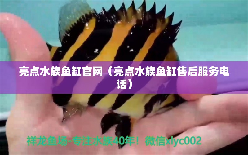 亮點(diǎn)水族魚缸官網(wǎng)（亮點(diǎn)水族魚缸售后服務(wù)電話）