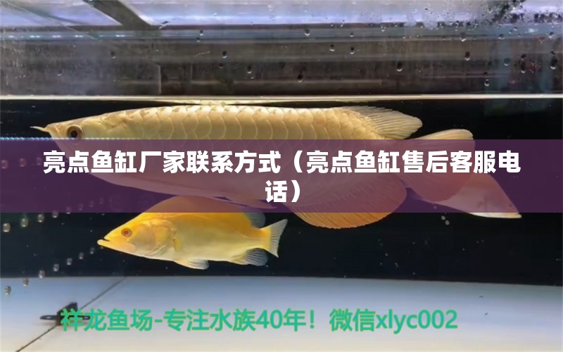 亮點(diǎn)魚(yú)缸廠家聯(lián)系方式（亮點(diǎn)魚(yú)缸售后客服電話）