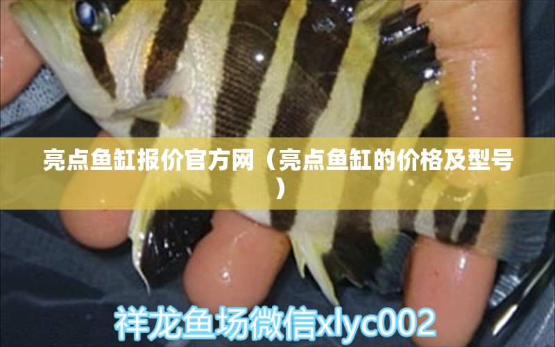 亮點(diǎn)魚缸報價官方網(wǎng)（亮點(diǎn)魚缸的價格及型號） 其他品牌魚缸