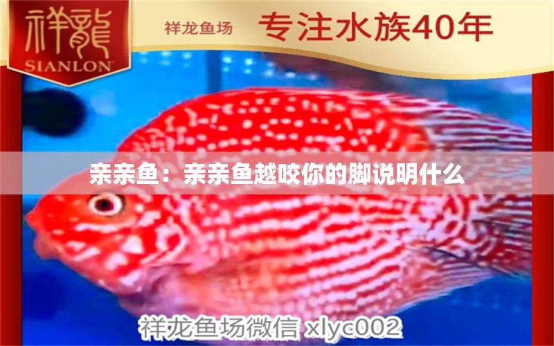 親親魚：親親魚越咬你的腳說明什么