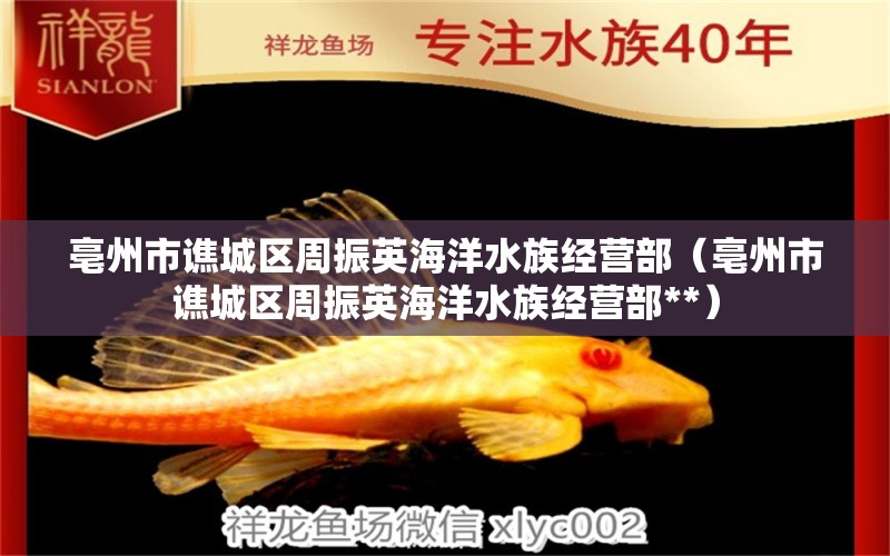 亳州市譙城區(qū)周振英海洋水族經(jīng)營(yíng)部（亳州市譙城區(qū)周振英海洋水族經(jīng)營(yíng)部**）