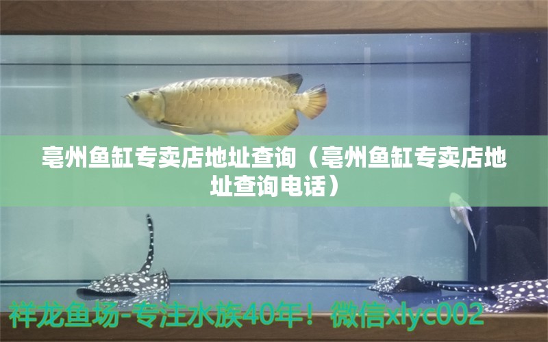 亳州魚缸專賣店地址查詢（亳州魚缸專賣店地址查詢電話）