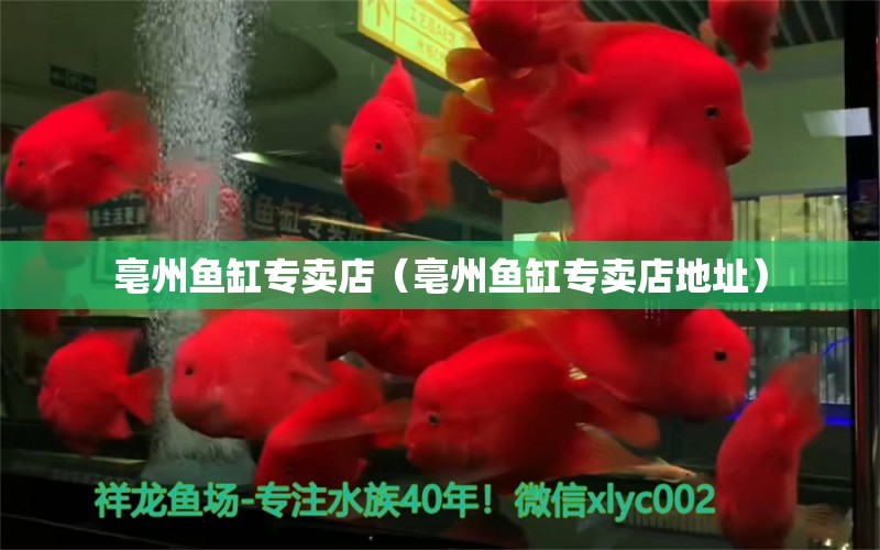 亳州魚缸專賣店（亳州魚缸專賣店地址） 其他品牌魚缸