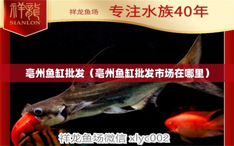 亳州魚缸批發(fā)（亳州魚缸批發(fā)市場在哪里）