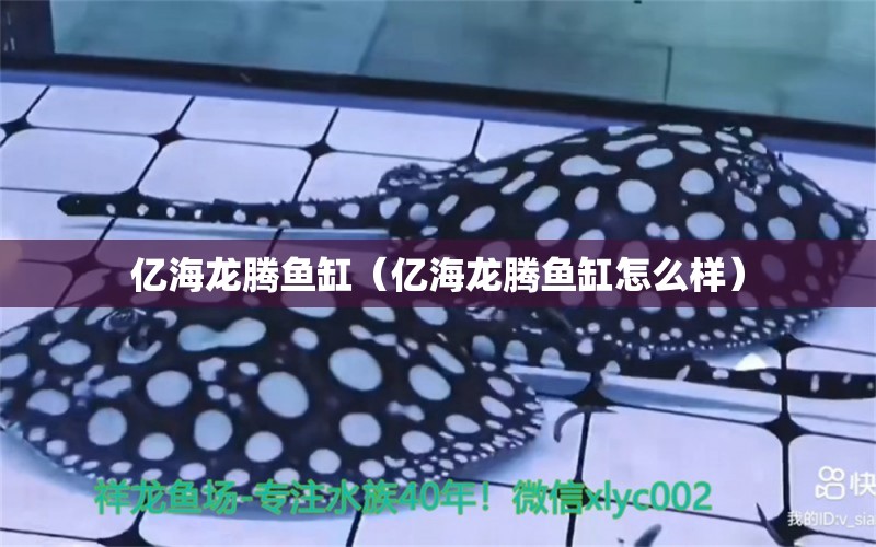 億海龍騰魚缸（億海龍騰魚缸怎么樣）