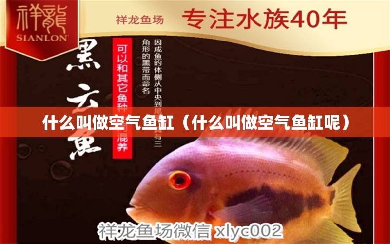 什么叫做空氣魚缸（什么叫做空氣魚缸呢）