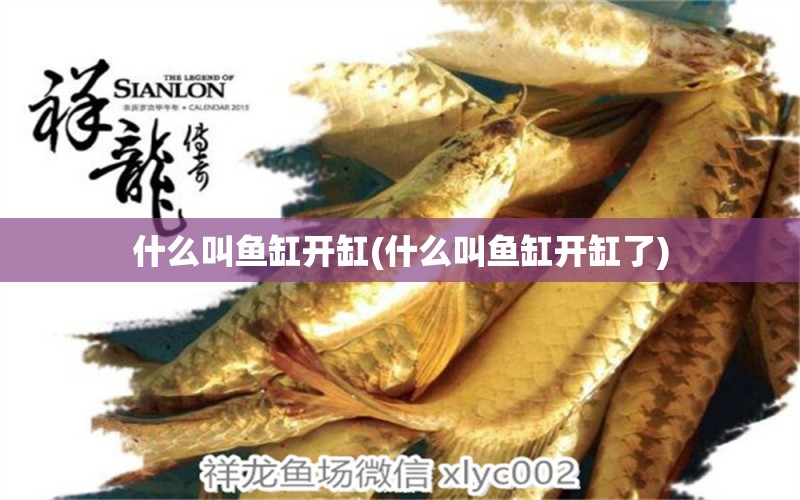 什么叫魚(yú)缸開(kāi)缸(什么叫魚(yú)缸開(kāi)缸了)