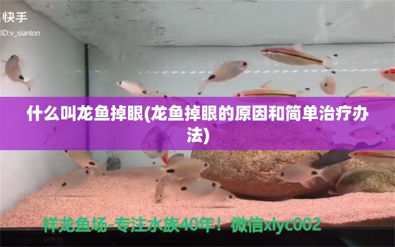 什么叫龍魚掉眼(龍魚掉眼的原因和簡單治療辦法) 帝王血鉆魚