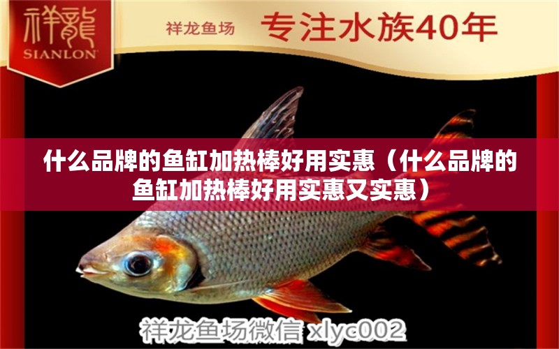 什么品牌的魚缸加熱棒好用實惠（什么品牌的魚缸加熱棒好用實惠又實惠）