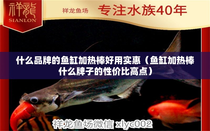 什么品牌的魚缸加熱棒好用實(shí)惠（魚缸加熱棒什么牌子的性價(jià)比高點(diǎn)） 觀賞魚批發(fā)