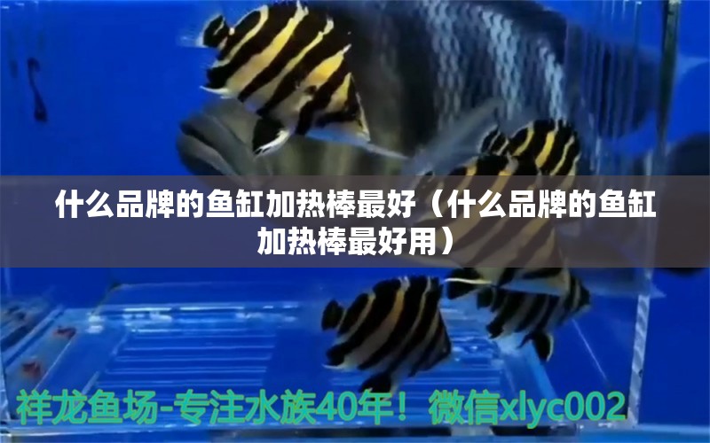 什么品牌的魚缸加熱棒最好（什么品牌的魚缸加熱棒最好用）