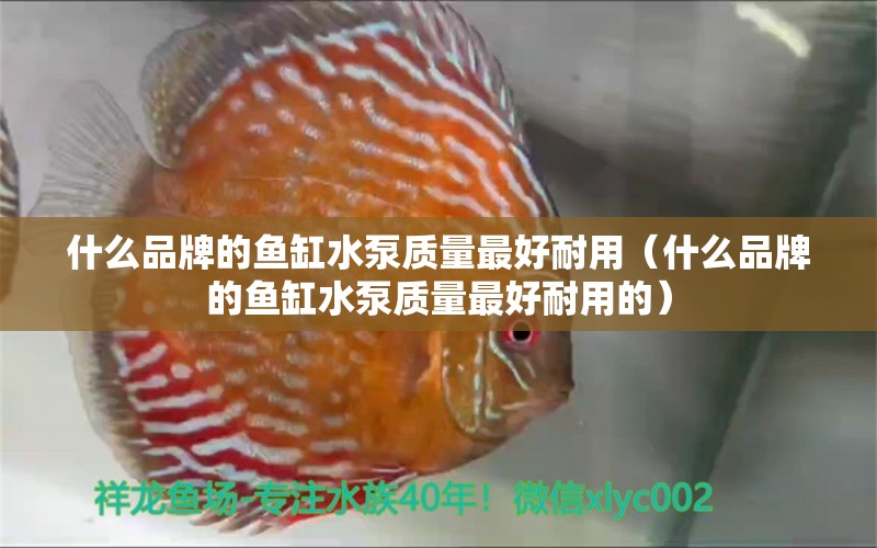 什么品牌的魚缸水泵質量最好耐用（什么品牌的魚缸水泵質量最好耐用的）