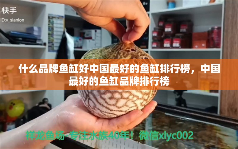 什么品牌魚缸好中國最好的魚缸排行榜，中國最好的魚缸品牌排行榜