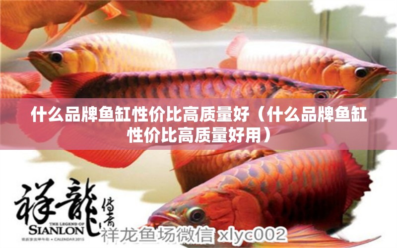 什么品牌魚缸性價(jià)比高質(zhì)量好（什么品牌魚缸性價(jià)比高質(zhì)量好用） 觀賞魚市場(chǎng)（混養(yǎng)魚）