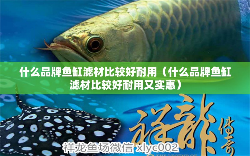 什么品牌魚缸濾材比較好耐用（什么品牌魚缸濾材比較好耐用又實惠） 女王大帆魚苗