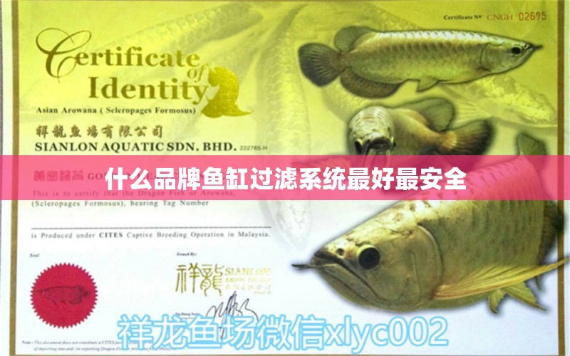 什么品牌魚缸過濾系統(tǒng)最好最安全 祥龍魚場