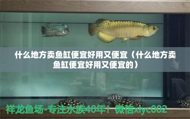 什么地方賣魚缸便宜好用又便宜（什么地方賣魚缸便宜好用又便宜的） 彩鰈魚缸（彩蝶魚缸）