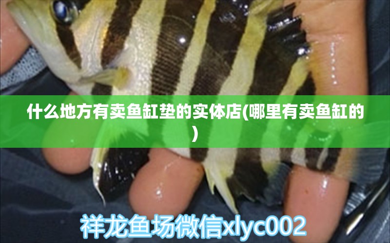 什么地方有賣(mài)魚(yú)缸墊的實(shí)體店(哪里有賣(mài)魚(yú)缸的) 除藻劑