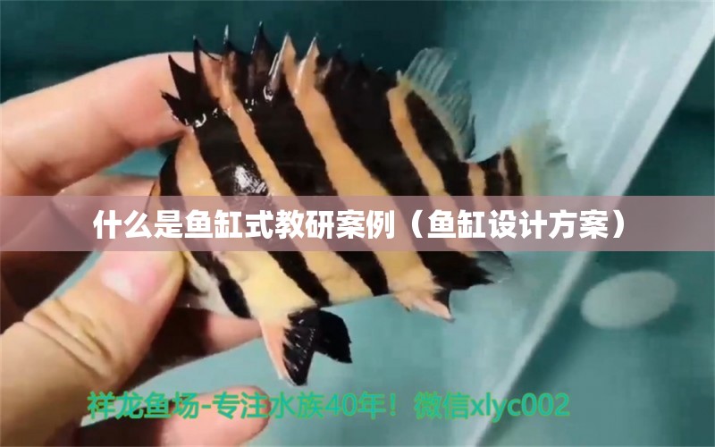 什么是魚缸式教研案例（魚缸設(shè)計(jì)方案）