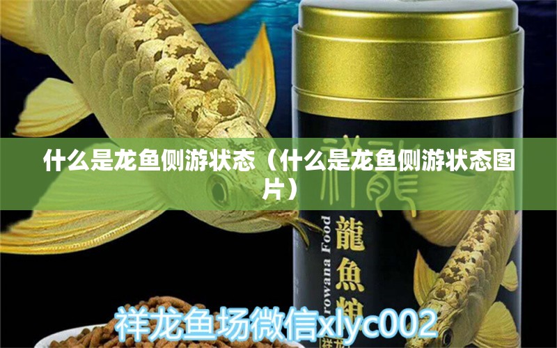 什么是龍魚側(cè)游狀態(tài)（什么是龍魚側(cè)游狀態(tài)圖片）