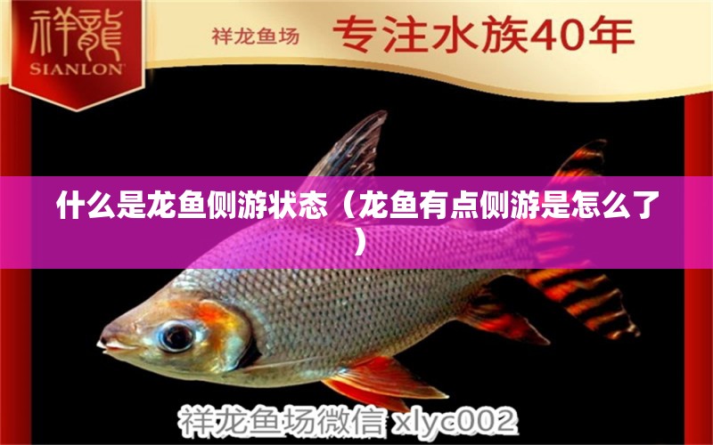 什么是龍魚側(cè)游狀態(tài)（龍魚有點側(cè)游是怎么了）