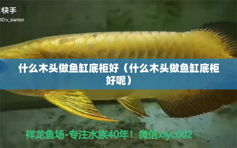 什么木頭做魚(yú)缸底柜好（什么木頭做魚(yú)缸底柜好呢）