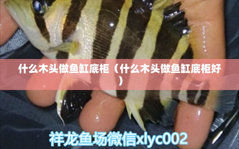 什么木頭做魚缸底柜（什么木頭做魚缸底柜好）