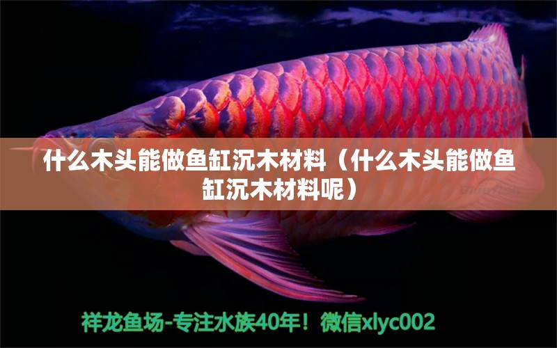 什么木頭能做魚缸沉木材料（什么木頭能做魚缸沉木材料呢）