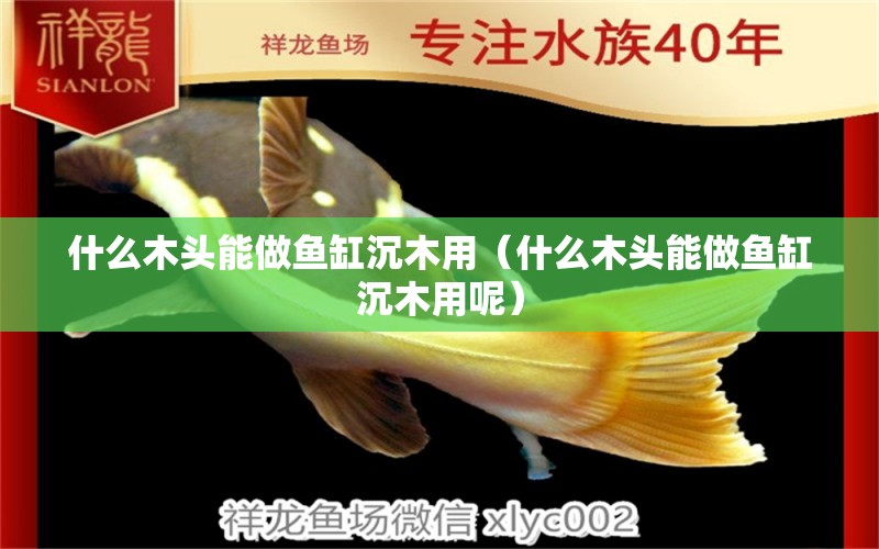 什么木頭能做魚缸沉木用（什么木頭能做魚缸沉木用呢）