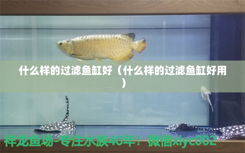 什么樣的過濾魚缸好（什么樣的過濾魚缸好用）