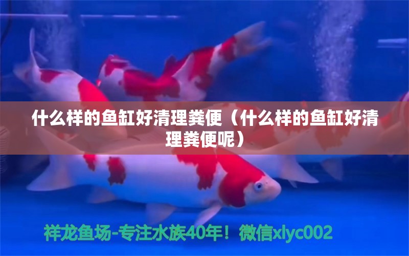 什么樣的魚缸好清理糞便（什么樣的魚缸好清理糞便呢）