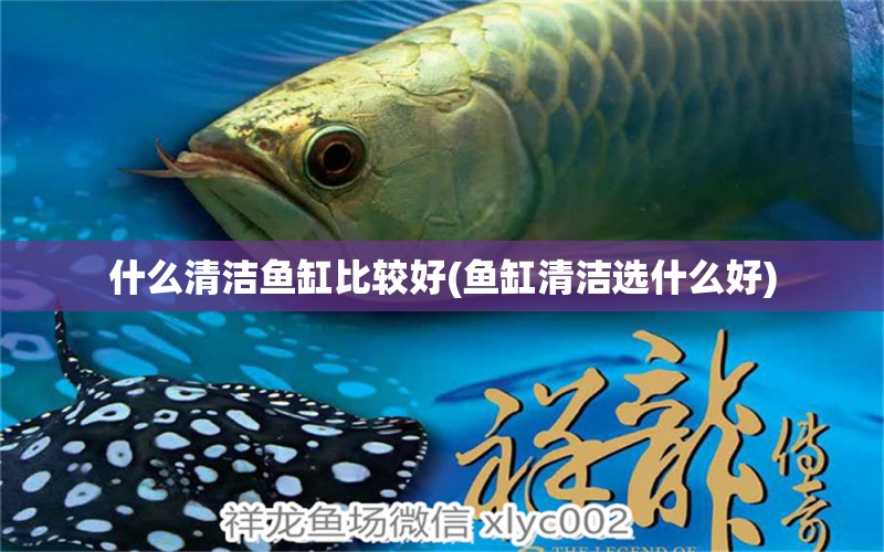 什么清潔魚缸比較好(魚缸清潔選什么好) 水族維護(hù)服務(wù)（上門）