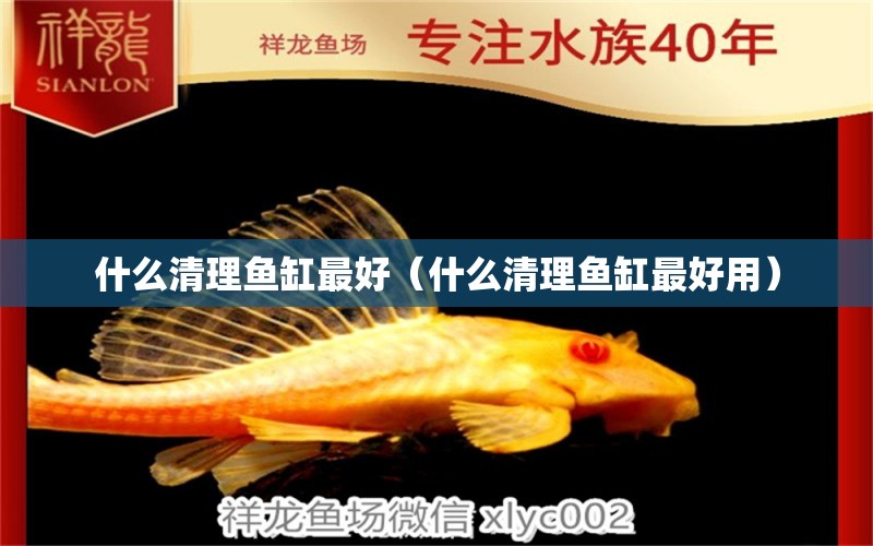 什么清理魚缸最好（什么清理魚缸最好用）