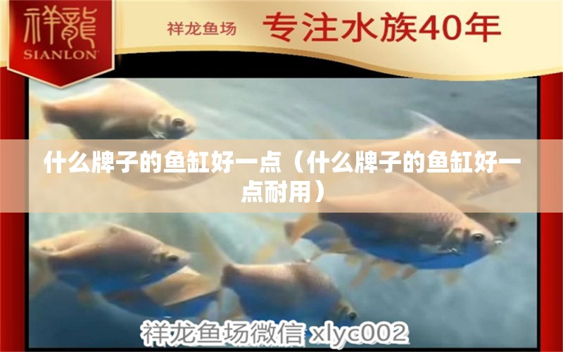 什么牌子的魚缸好一點（什么牌子的魚缸好一點耐用）